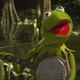 Illustration for article titled Kermit serenades Miss Piggy with Bryan Adams’ “You Belong To Me”